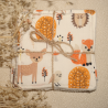 Lingettes Fox