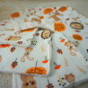 Lingettes Fox