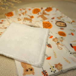Lingettes Fox